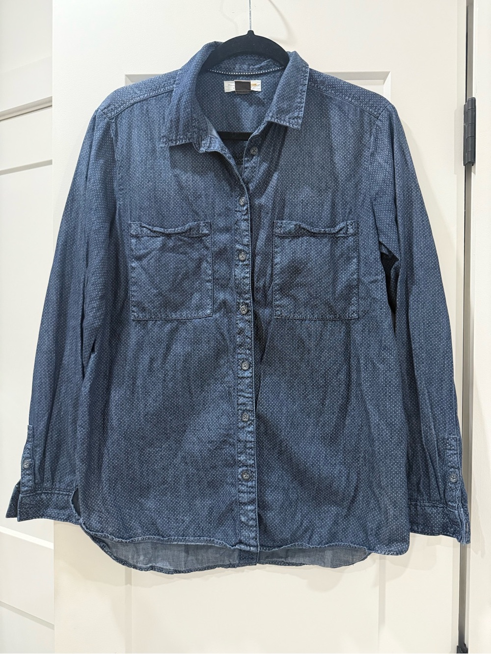 Pilcro by Anthropologie and The Letter Press Womens Blue Button Up Shirt